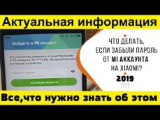 Embedded thumbnail
