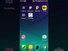Embedded thumbnail