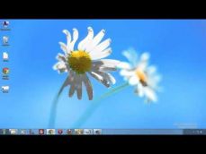 Embedded thumbnail