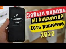 Embedded thumbnail