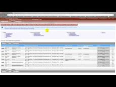 Embedded thumbnail