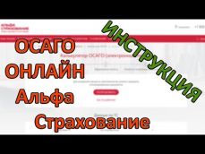 Embedded thumbnail
