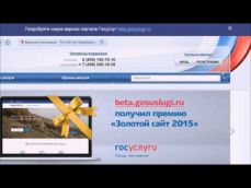 Embedded thumbnail