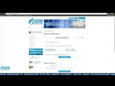 Embedded thumbnail
