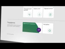 Embedded thumbnail