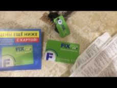 Embedded thumbnail