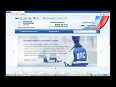 Embedded thumbnail