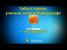 Embedded thumbnail