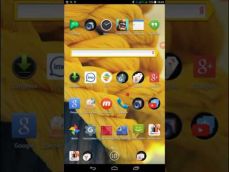 Embedded thumbnail